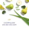 imageDove Aluminum Free Deodorant for Women 4 Count Pomegranate and Lemon Verbena 72 hour odor protection 26 ozPear  Aloe Vera