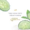 imageDove Body Wash 24 Count Refreshing Cucumber and Green Tea Refreshes Skin Cleanser That Effectively Washes Away Bacteria While Nourishing Your 3 ozCucumber and Green Tea