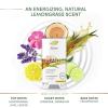 imageDove Care by Plants Deodorant Stick for longlasting deodorant protection Lemongrass aluminum free deodorant 26 oz 3 Count26 Ounce Pack of 3
