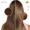 imageDove Shampoo Intensive Repair Pack of 4 for Damaged Hair Shampoo with BioRestore Complex 31 oz