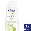 imageDove Ultra Care Conditioner Daily Moisture Pack of 4 For Dry Hair Conditioner with BioRestore Complex 31 oz12 Fl Oz Pack of 1
