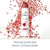 imageDove Advanced Care Antiperspirant Deodorant Dry Spray Cool Essentials 4 Count Antiperspirant deodorant for helping your skin barrier repair after shaving With Pro Ceramide Technology 38 oz38 Ounce Pack of 1