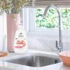 imageDove Advanced Care Hand Wash Peach ampamp Rice Milk 4 Count for Washing Away Dirt ampamp Germs While Nourishing Skin 10 Layers Deep with Moisture Boost 5X Complex