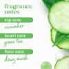 imageDove Body Wash with Pump Refresh Cucumber and Green Tea for 24hr LotionSoft Skin Moisturizing Skin Cleanser with No Sulfates No Parabens 306 ozCucumber and Green Tea