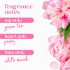 imageDove Body Wash with Pump Renew Peony ampamp Rose Oil For 24hr LotionSoft Skin Moisturizing Skin Cleanser with No Sulfates No Parabens 306 OzPeony  Rose