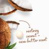 imageDove Body Wash with Pump Restore Coconut ampamp Cocoa Butter for 24hr LotionSoft Skin Moisturizing Skin Cleanser with No Sulfates No Parabens 306 Oz