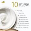 imageDove Hair Bond Strength 10in1 Serum Mask for Chemically Damaged Hair with BioProtein Care Technology plus Peptide Complex 92 fl oz92 Fl Oz Pack of 1