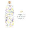 imageDove Purely Pampering Body Wash for Dry Skin Shea Butter with Warm Vanilla Effectively Washes Away Bacteria While Nourishing Your Skin 22 Fl Oz Pack of 4Shea Butter  Vanilla
