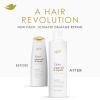imageDove Shampoo Argan Oil ampamp Repair for Fine Hair with BioProtein Care Technology and Argan Oil Blend 12 Fl Oz12 Fl Oz Pack of 1