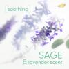 imageDove Whole Body Deodorant Cooling Spray Peach ampamp White Tea Aluminum Free 4ozSage  Lavender