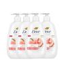 imageDove Advanced Care Hand Wash Peach ampamp Rice Milk 4 Count for Washing Away Dirt ampamp Germs While Nourishing Skin 10 Layers Deep with Moisture Boost 5X Complex