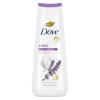 imageDove Body Wash with Pump Relaxing Lavender Oil ampamp Chamomile 3 Count for Renewed HealthyLooking Skin Gentle Skin Cleanser with 24hr Renewing MicroMoisture 306 ozChamomile